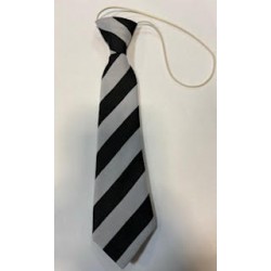 Tillicoultry Primary Elasticated Tie